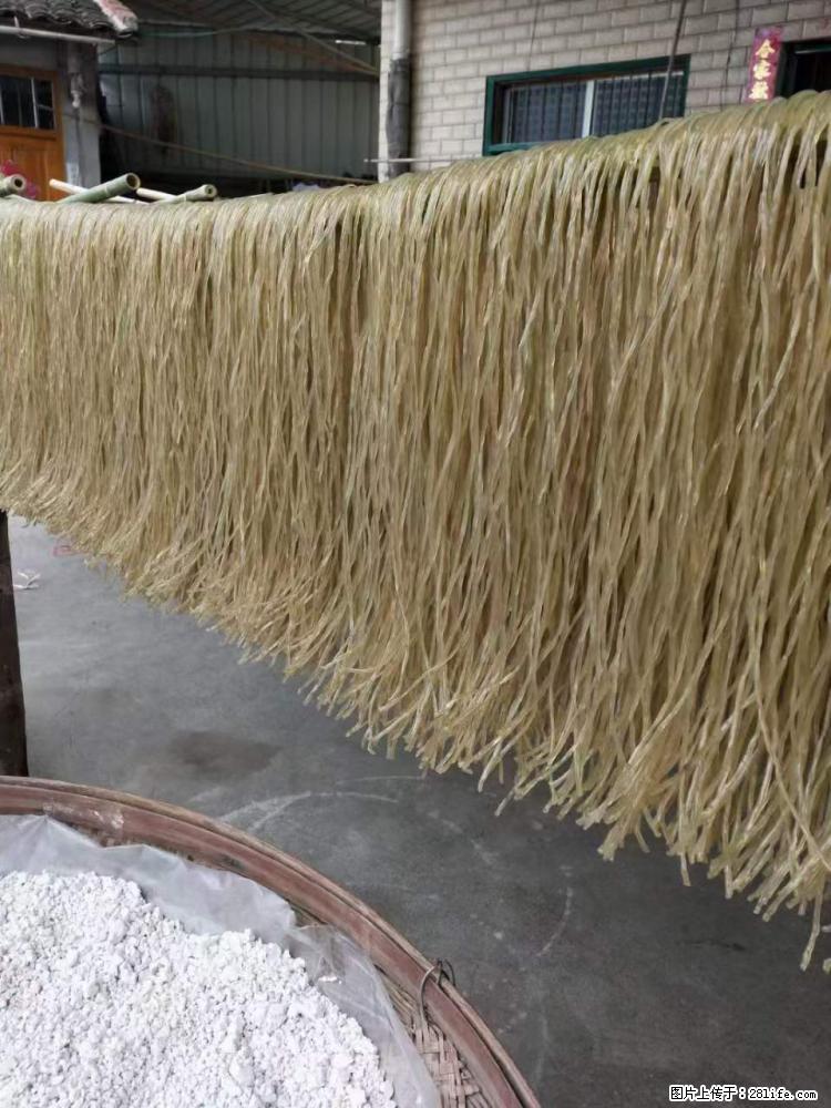 【灌阳正宗红薯粉】美女家里自己做的,干净卫生,假一赔十,价格合理,抢购电话:13737312895 - 美食天地 - 伊犁生活社区 - 伊犁28生活网 yili.28life.com