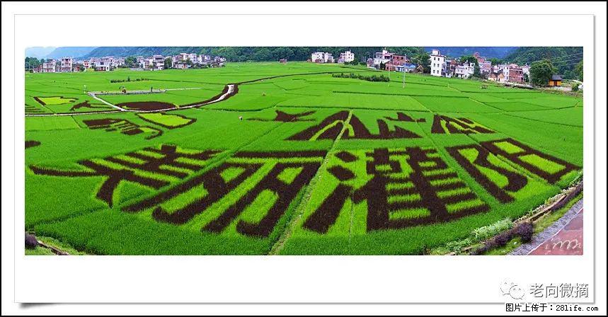 【春天,广西桂林灌阳县向您发出邀请!】开篇 - 游山玩水 - 伊犁生活社区 - 伊犁28生活网 yili.28life.com