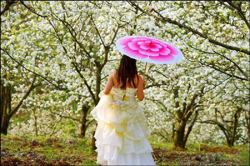 【春天,广西桂林灌阳县向您发出邀请!】我们在灌阳看梨花 - 游山玩水 - 伊犁生活社区 - 伊犁28生活网 yili.28life.com