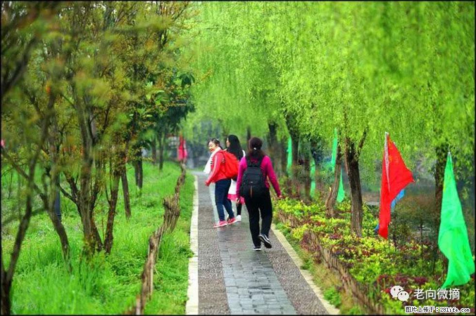 【春天,广西桂林灌阳县向您发出邀请!】江口老街又逢春 - 游山玩水 - 伊犁生活社区 - 伊犁28生活网 yili.28life.com