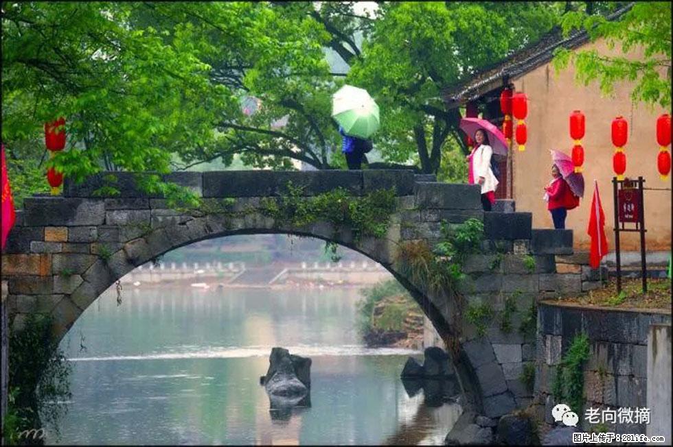 【春天,广西桂林灌阳县向您发出邀请!】江口老街又逢春 - 游山玩水 - 伊犁生活社区 - 伊犁28生活网 yili.28life.com