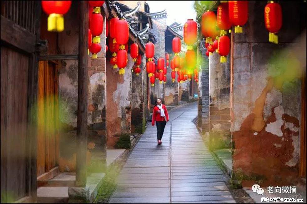 【春天,广西桂林灌阳县向您发出邀请!】江口老街又逢春 - 游山玩水 - 伊犁生活社区 - 伊犁28生活网 yili.28life.com