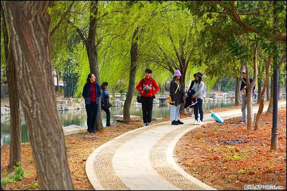 【春天,广西桂林灌阳县向您发出邀请!】江口老街又逢春 - 游山玩水 - 伊犁生活社区 - 伊犁28生活网 yili.28life.com