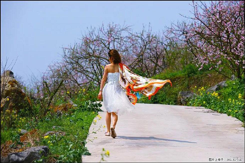 【春天,广西桂林灌阳县向您发出邀请!】望月岭上桃花开 - 游山玩水 - 伊犁生活社区 - 伊犁28生活网 yili.28life.com