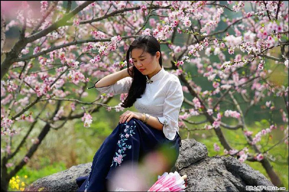 【春天,广西桂林灌阳县向您发出邀请!】望月岭上桃花开 - 游山玩水 - 伊犁生活社区 - 伊犁28生活网 yili.28life.com