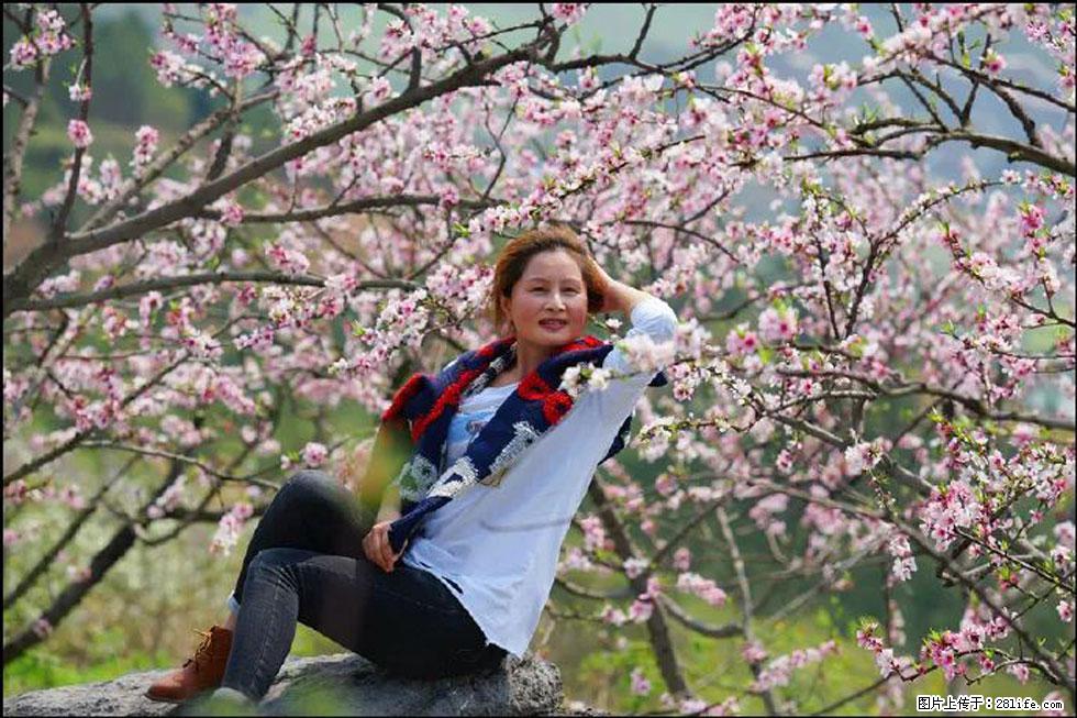 【春天,广西桂林灌阳县向您发出邀请!】望月岭上桃花开 - 游山玩水 - 伊犁生活社区 - 伊犁28生活网 yili.28life.com