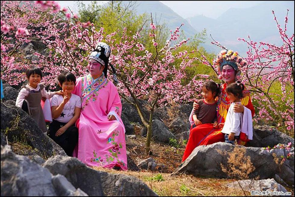 【春天,广西桂林灌阳县向您发出邀请!】望月岭上桃花开 - 游山玩水 - 伊犁生活社区 - 伊犁28生活网 yili.28life.com
