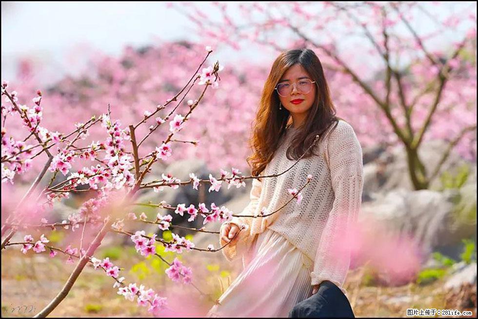 【春天,广西桂林灌阳县向您发出邀请!】望月岭上桃花开 - 游山玩水 - 伊犁生活社区 - 伊犁28生活网 yili.28life.com