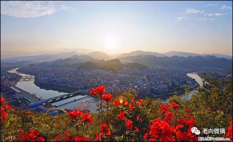 【春天,广西桂林灌阳县向您发出邀请!】登麒麟山,相约映山红 - 游山玩水 - 伊犁生活社区 - 伊犁28生活网 yili.28life.com