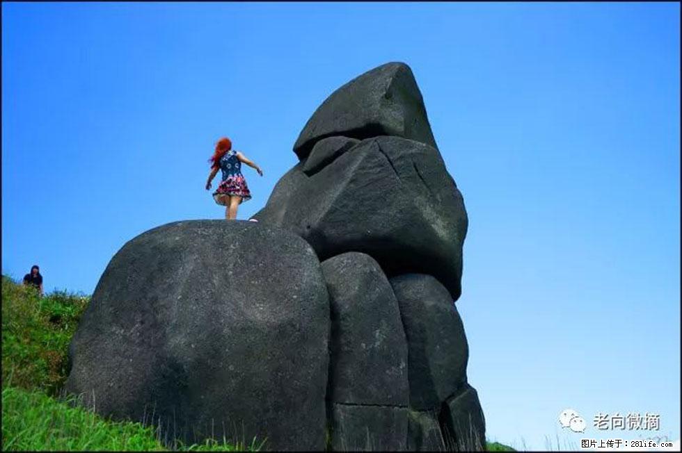 【春天,广西桂林灌阳县向您发出邀请!】宝盖山上映山红 - 游山玩水 - 伊犁生活社区 - 伊犁28生活网 yili.28life.com