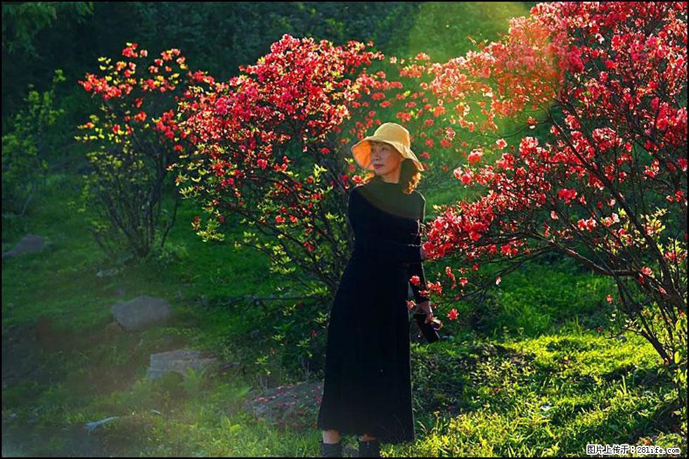 【春天,广西桂林灌阳县向您发出邀请!】春木界上映山红 - 游山玩水 - 伊犁生活社区 - 伊犁28生活网 yili.28life.com