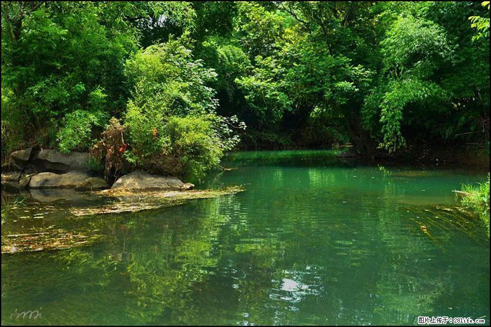 【春天,广西桂林灌阳县向您发出邀请!】如梦似幻莲溪庐 - 游山玩水 - 伊犁生活社区 - 伊犁28生活网 yili.28life.com