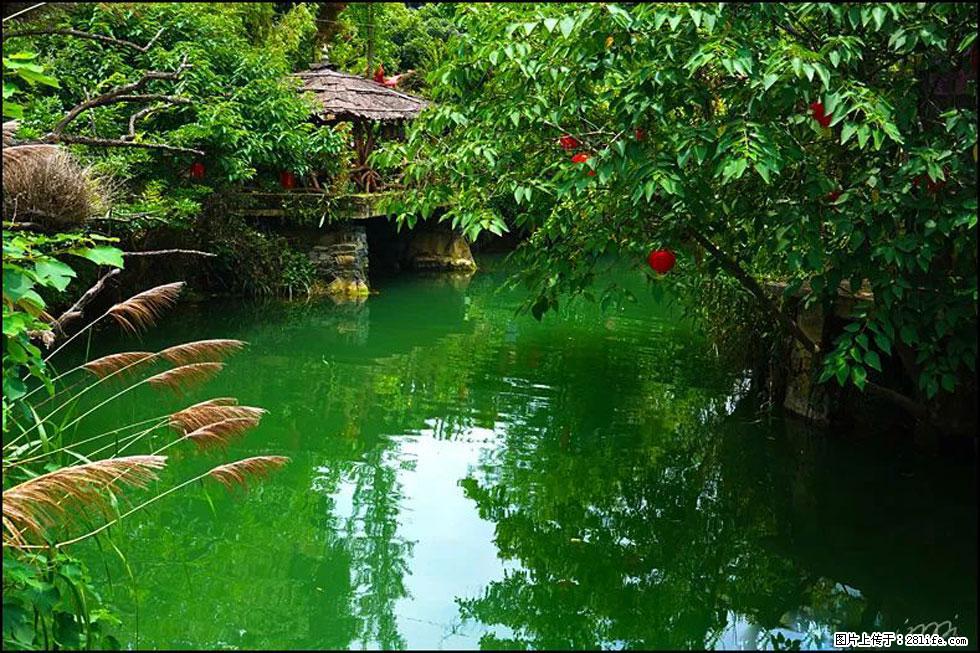 【春天,广西桂林灌阳县向您发出邀请!】如梦似幻莲溪庐 - 游山玩水 - 伊犁生活社区 - 伊犁28生活网 yili.28life.com