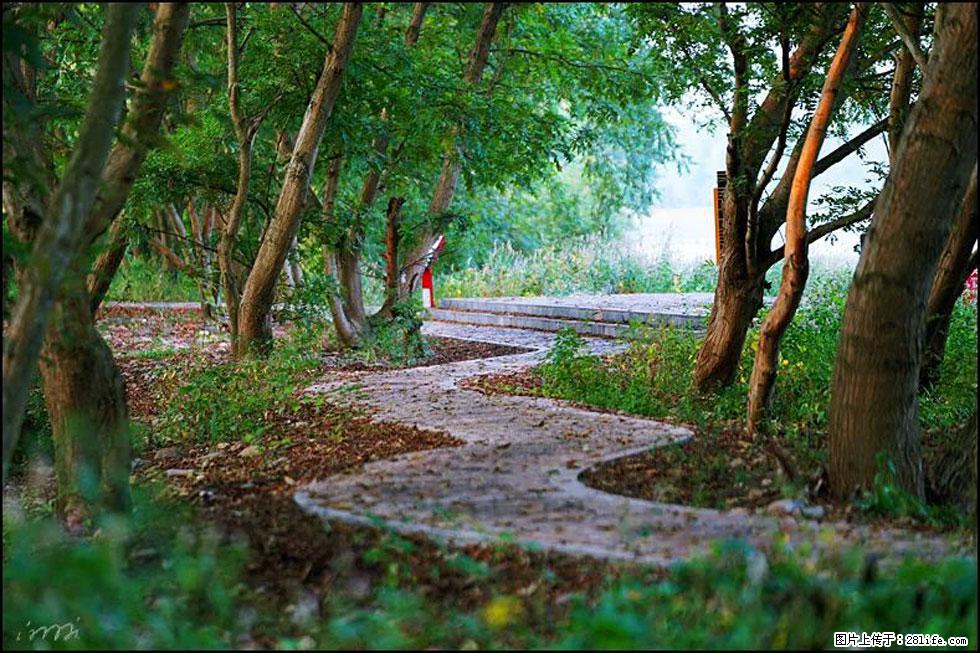 【春天,广西桂林灌阳县向您发出邀请!】熊家寨湿地公园 - 游山玩水 - 伊犁生活社区 - 伊犁28生活网 yili.28life.com