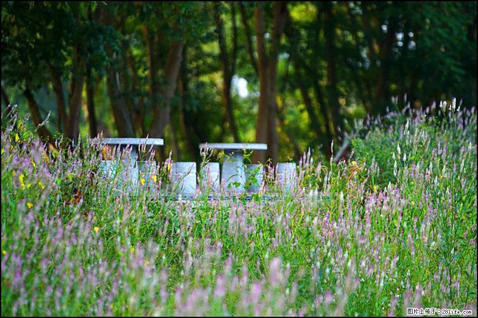 【春天,广西桂林灌阳县向您发出邀请!】熊家寨湿地公园 - 游山玩水 - 伊犁生活社区 - 伊犁28生活网 yili.28life.com