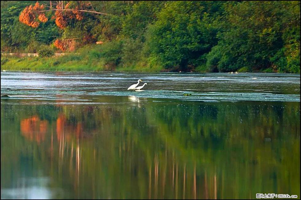 【春天,广西桂林灌阳县向您发出邀请!】熊家寨湿地公园 - 游山玩水 - 伊犁生活社区 - 伊犁28生活网 yili.28life.com