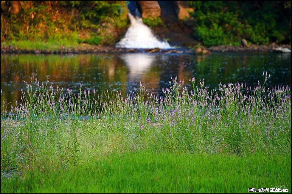 【春天,广西桂林灌阳县向您发出邀请!】熊家寨湿地公园 - 游山玩水 - 伊犁生活社区 - 伊犁28生活网 yili.28life.com