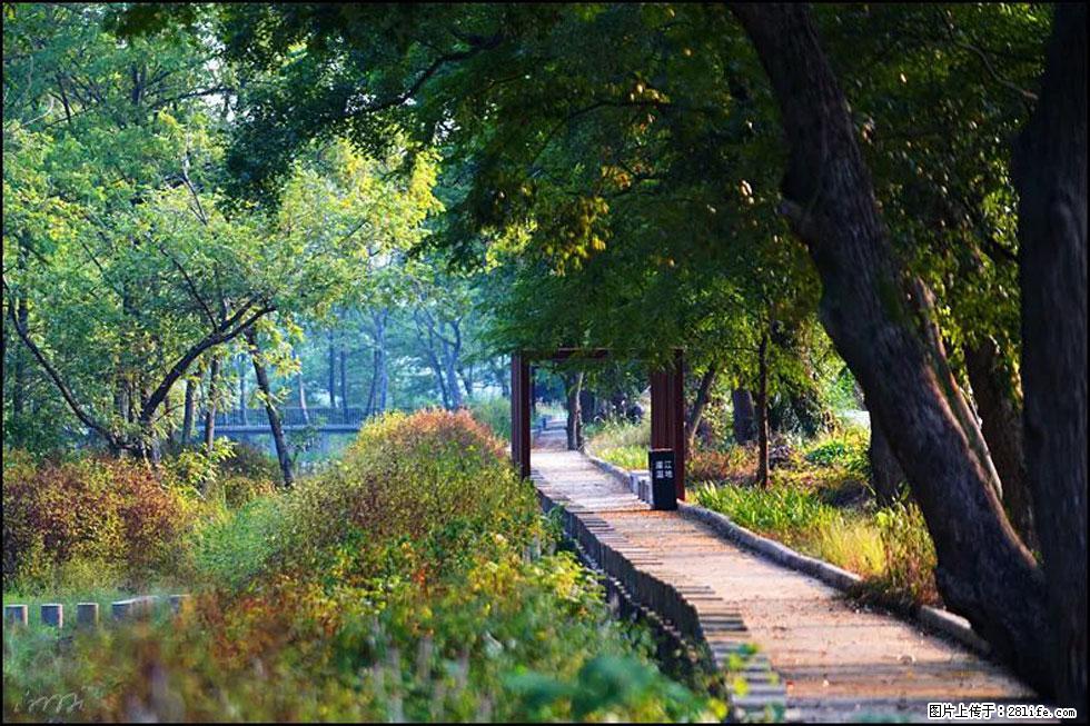 【春天,广西桂林灌阳县向您发出邀请!】熊家寨湿地公园 - 游山玩水 - 伊犁生活社区 - 伊犁28生活网 yili.28life.com