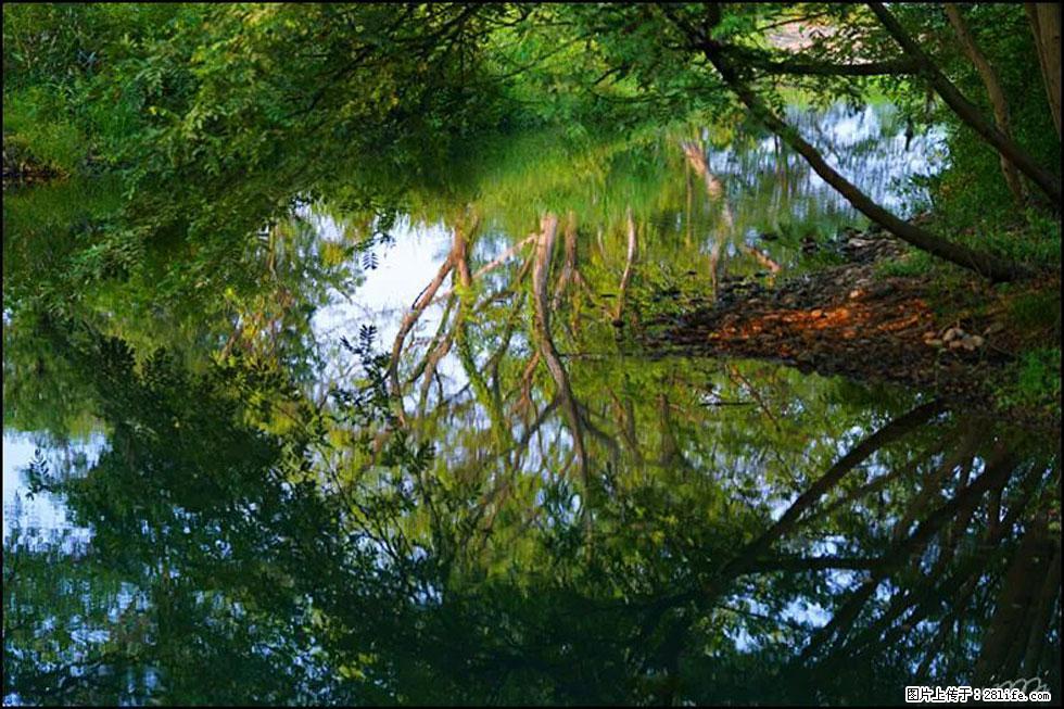 【春天,广西桂林灌阳县向您发出邀请!】熊家寨湿地公园 - 游山玩水 - 伊犁生活社区 - 伊犁28生活网 yili.28life.com