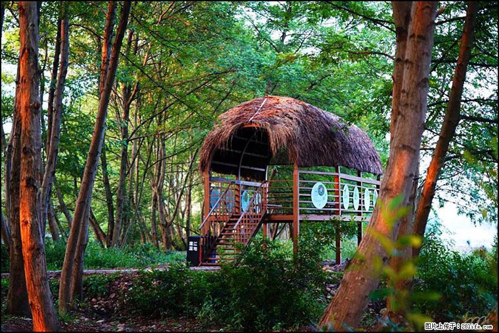 【春天,广西桂林灌阳县向您发出邀请!】熊家寨湿地公园 - 游山玩水 - 伊犁生活社区 - 伊犁28生活网 yili.28life.com