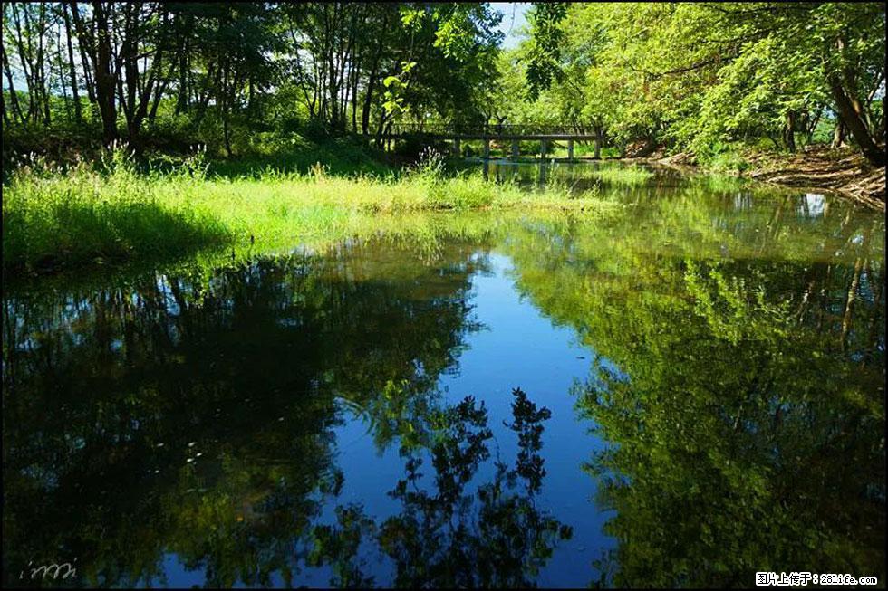 【春天,广西桂林灌阳县向您发出邀请!】熊家寨湿地公园 - 游山玩水 - 伊犁生活社区 - 伊犁28生活网 yili.28life.com