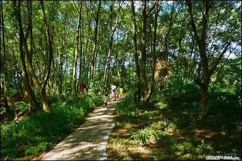 【春天,广西桂林灌阳县向您发出邀请!】熊家寨湿地公园 - 游山玩水 - 伊犁生活社区 - 伊犁28生活网 yili.28life.com