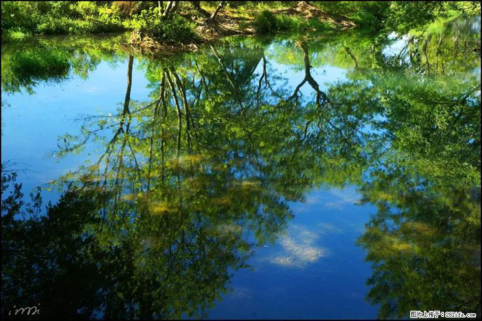 【春天,广西桂林灌阳县向您发出邀请!】熊家寨湿地公园 - 游山玩水 - 伊犁生活社区 - 伊犁28生活网 yili.28life.com