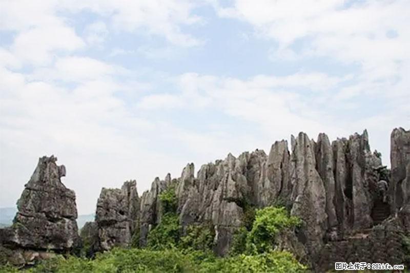 桂林旅游名城景点:灌阳文市石林 - 游山玩水 - 伊犁生活社区 - 伊犁28生活网 yili.28life.com