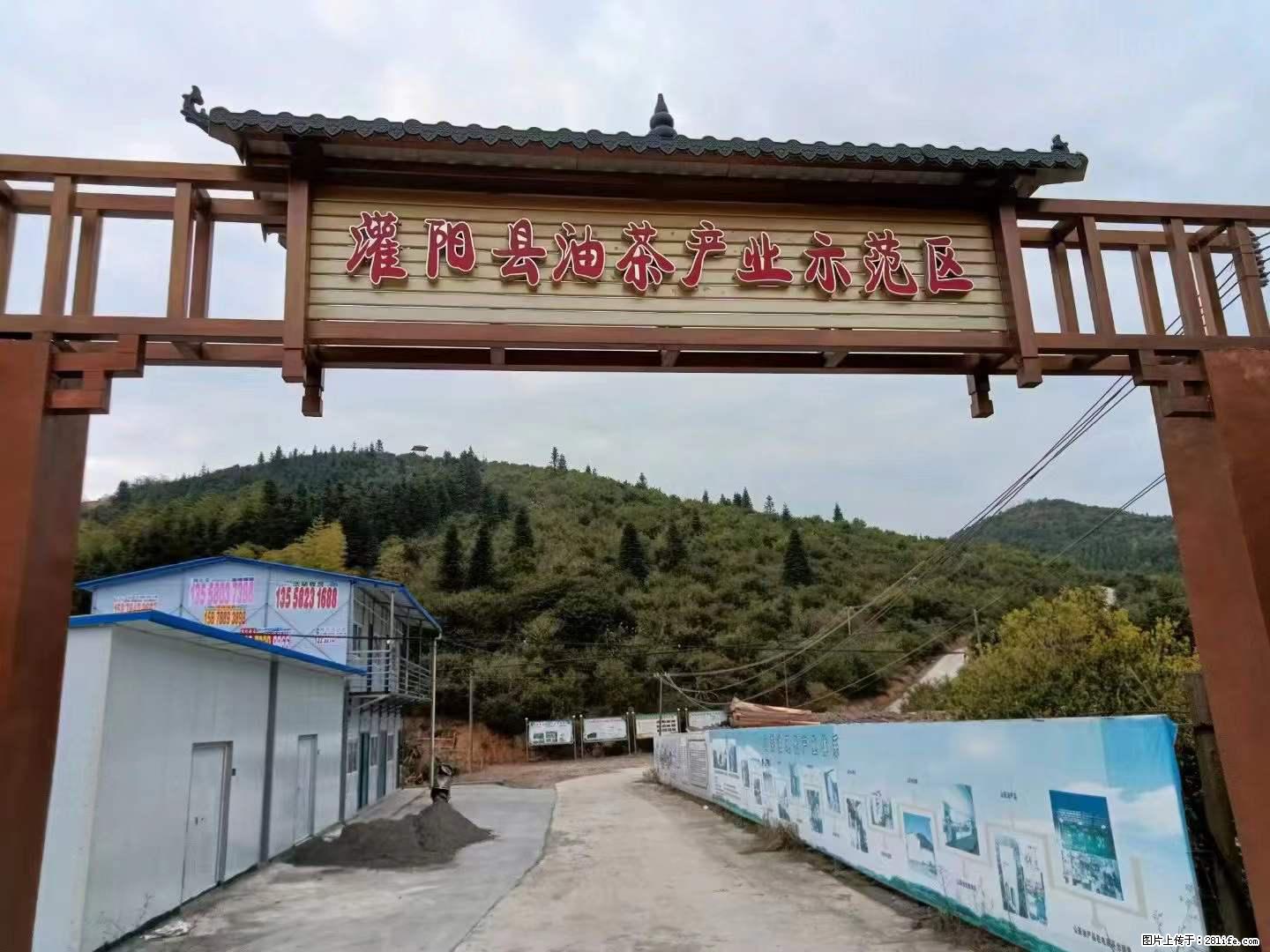 【灌阳县油茶产业示范区】一个有着充实的精神生活的人,对待身外之物自会有一种淡泊的态度 - 土特产 - 饮食特产 - 伊犁分类信息 - 伊犁28生活网 yili.28life.com