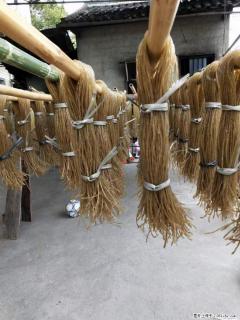 【灌阳正宗红薯粉】美女家里自己做的，干净卫生，假一赔十，价格合理，抢购电话：13737312895 - 伊犁28生活网 yili.28life.com