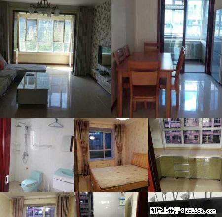 好房出租,快看抢吧。手慢无 - 房屋出租 - 房屋租售 - 伊犁分类信息 - 伊犁28生活网 yili.28life.com