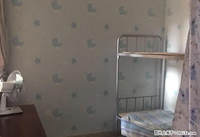 开发区 中杰新城 中装单身公寓 电梯房 房子周边交通便利 - 房屋出租 - 房屋租售 - 伊犁分类信息 - 伊犁28生活网 yili.28life.com