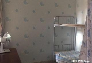 开发区 中杰新城 中装单身公寓 电梯房 房子周边交通便利 - 伊犁28生活网 yili.28life.com