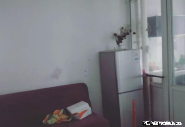 开发区北京路梧桐丽景旁边 单身公寓 短租房 押一付二 - 房屋出租 - 房屋租售 - 伊犁分类信息 - 伊犁28生活网 yili.28life.com