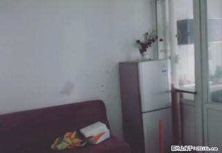 开发区北京路梧桐丽景旁边 单身公寓 短租房 押一付二 - 伊犁28生活网 yili.28life.com