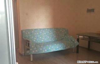 开发区北京路单身公寓装修干净出租 - 伊犁28生活网 yili.28life.com