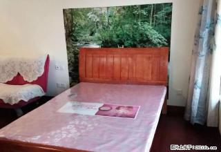 恒大雅苑精装单身公寓带家具家电便宜出租 - 伊犁28生活网 yili.28life.com