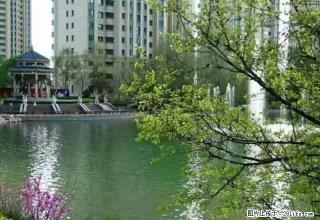 恒大雅苑两室空房子出租，精装修的标准！ - 伊犁28生活网 yili.28life.com