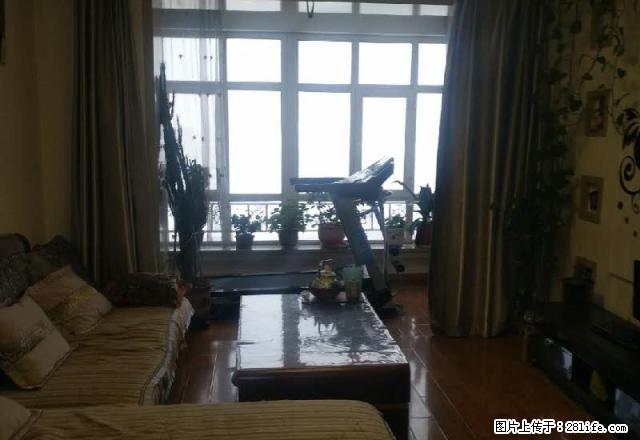 急租开发区 金茂世界城两室精装房 包暖气 物业拎包入住 - 房屋出租 - 房屋租售 - 伊犁分类信息 - 伊犁28生活网 yili.28life.com