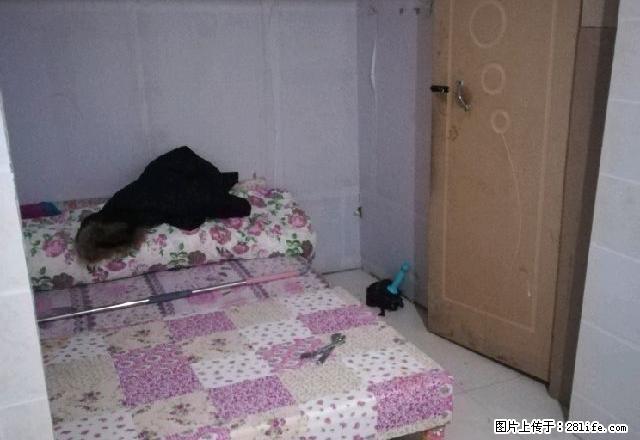 (单间出租)福安西城国际(上海路) 4室1厅1卫 男女不限 - 房屋出租 - 房屋租售 - 伊犁分类信息 - 伊犁28生活网 yili.28life.com