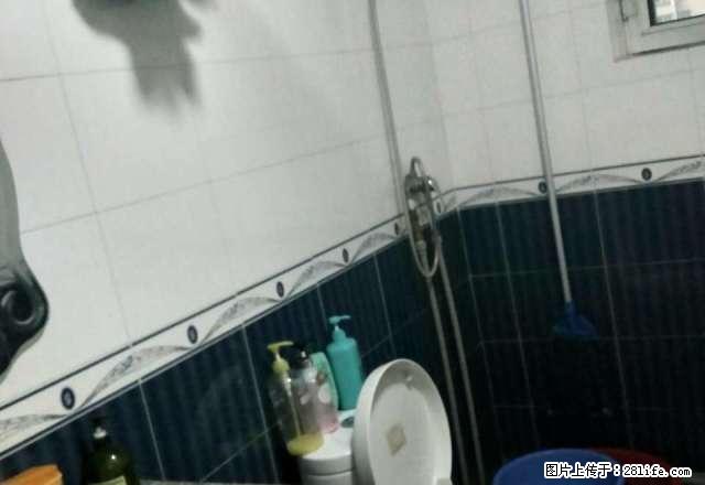 大世界斯大林街6巷2室2厅3楼简单装修拎包入住急租包暖急租 - 房屋出租 - 房屋租售 - 伊犁分类信息 - 伊犁28生活网 yili.28life.com