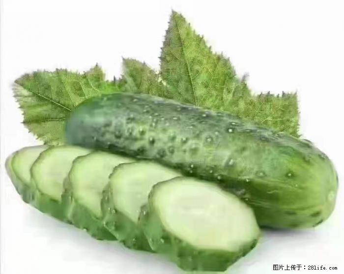 【生活小常识】吃黄瓜的好处 - 生活百科 - 伊犁生活社区 - 伊犁28生活网 yili.28life.com