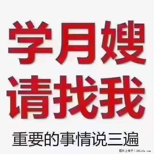 【招聘】月嫂,上海徐汇区 - 职场交流 - 伊犁生活社区 - 伊犁28生活网 yili.28life.com