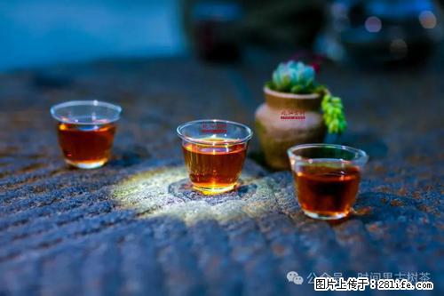 时间果百年古树2025年春红茶 - 购物交流 - 伊犁生活社区 - 伊犁28生活网 yili.28life.com