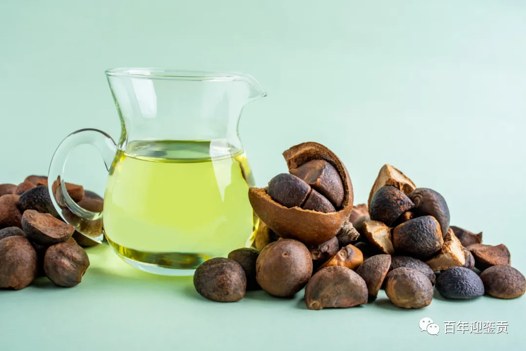世界没有真相,只有认知,最好的食用油是中国的山茶油! - 伊犁生活资讯 - 伊犁28生活网 yili.28life.com