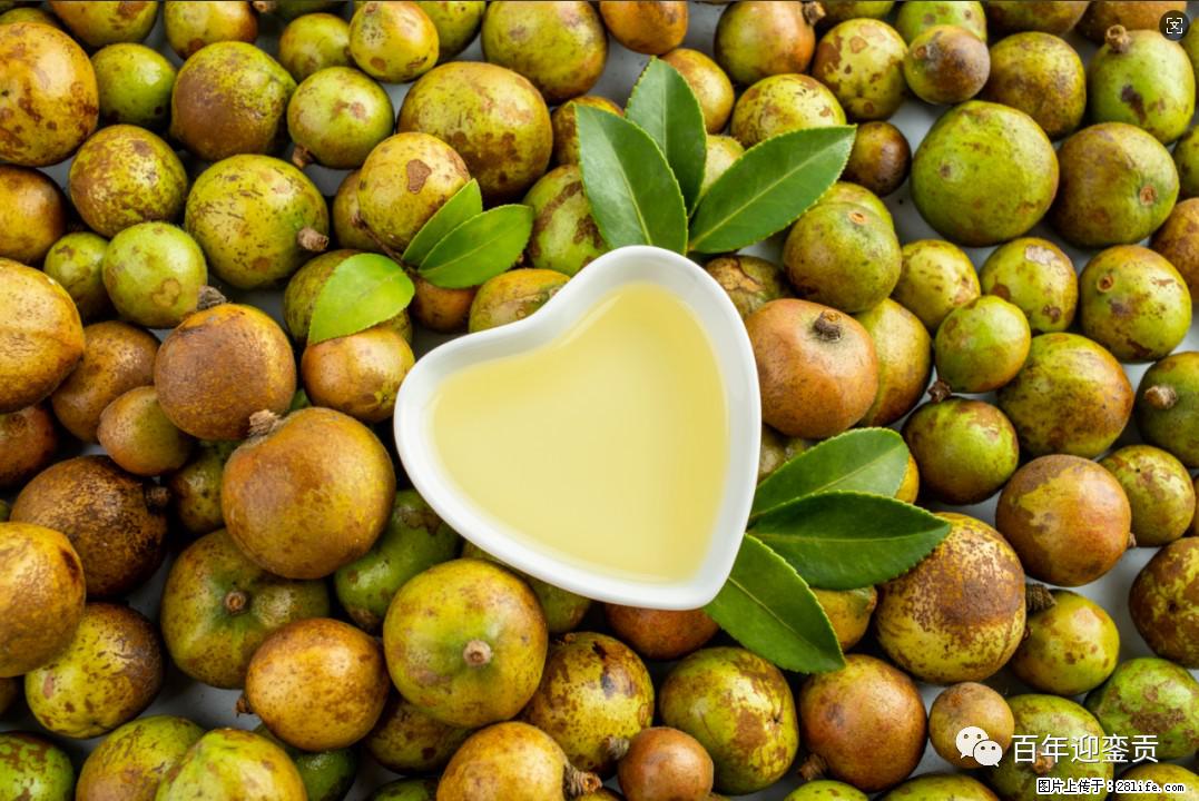 世界没有真相,只有认知,最好的食用油是中国的山茶油! - 伊犁生活资讯 - 伊犁28生活网 yili.28life.com