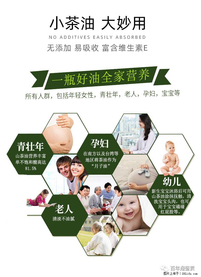 世界没有真相,只有认知,最好的食用油是中国的山茶油! - 伊犁生活资讯 - 伊犁28生活网 yili.28life.com