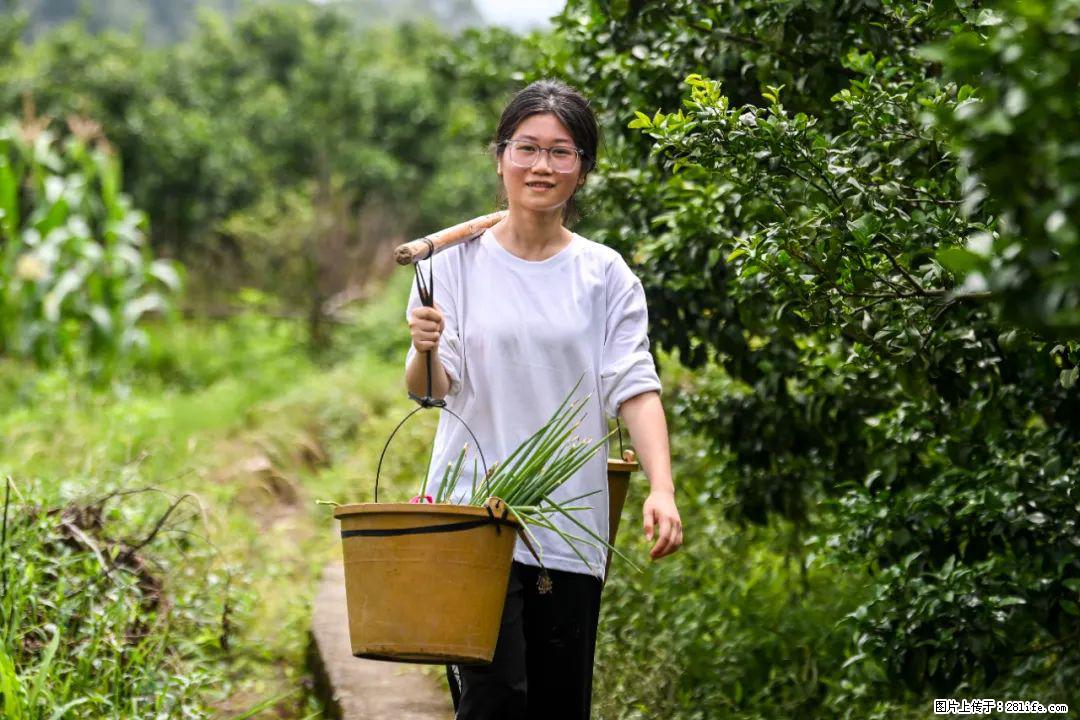 全网追的“扁担女孩”,找了一份暑假工,时薪12元 - 伊犁生活资讯 - 伊犁28生活网 yili.28life.com