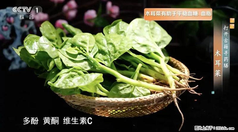 比牛奶补钙还厉害!凉血解毒、稳血糖...这菜冬天必吃,很多人却当草 - 伊犁生活资讯 - 伊犁28生活网 yili.28life.com