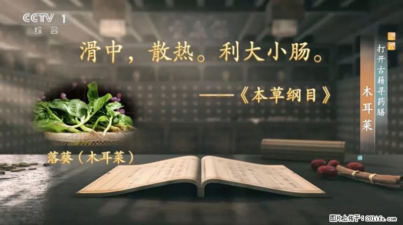 比牛奶补钙还厉害!凉血解毒、稳血糖...这菜冬天必吃,很多人却当草 - 伊犁生活资讯 - 伊犁28生活网 yili.28life.com